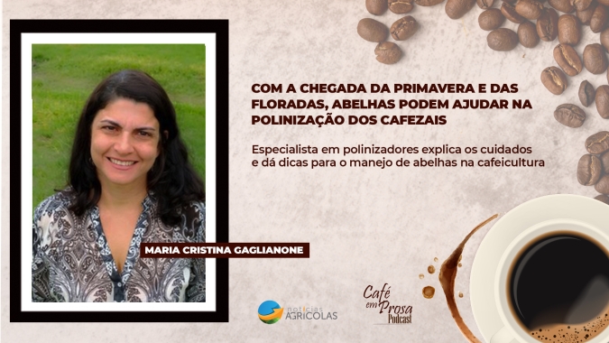 Café em Prosa #57 - Com a chegada da Primavera e das floradas, abelhas podem ajudar na polinização dos cafezais
