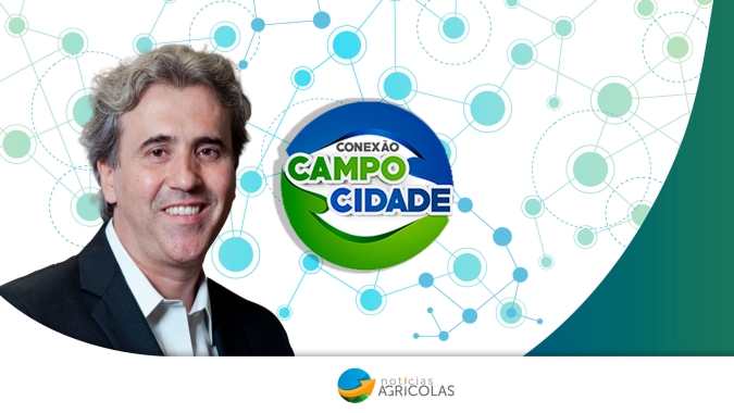 Mesmo com dificuldades pontuais, Brasil caminha para uma grande safra no próximo ano