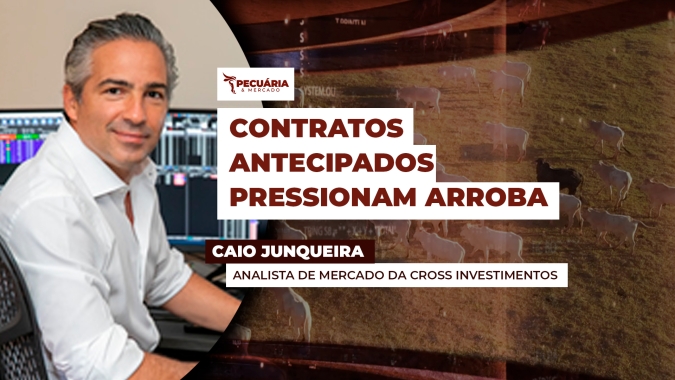 Arroba do boi deve seguir pressionada nos próximos 40 dias e piso de R$300 em SP pode ser rompido