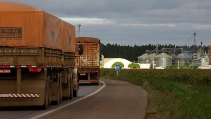 Sistema FAEP lamenta decisão da ANTT que impede o cultivo agrícola na faixa de domínio