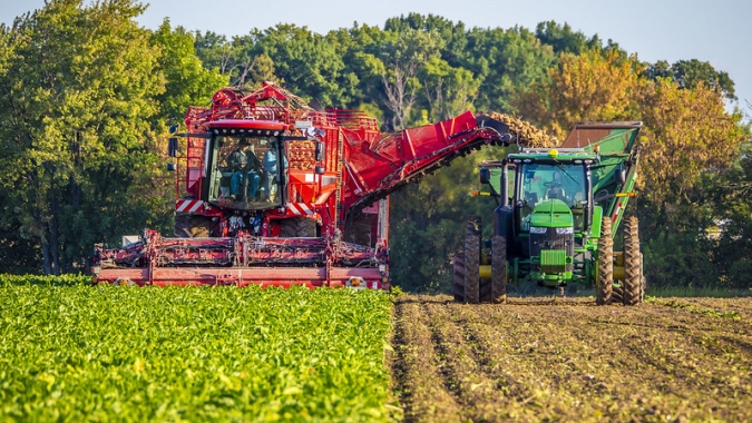 Bloomberg: Dubai Sugar Giant avança para construir fábrica de beterraba na Espanha