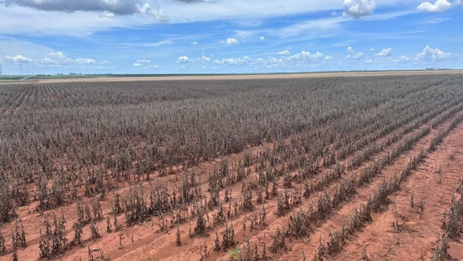 FPA e MAPA divergem sobre atual momento de crise no agro do BR, com linha de crédito prevista para março, aquém do esperado