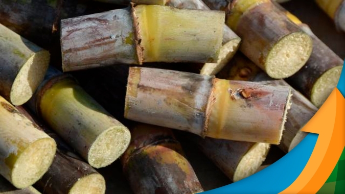 Copersucar evita emissão de 2,4 milhões de toneladas de CO2 na safra 2020/21