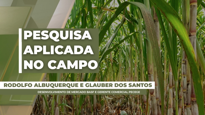 Como o manejo integrado com Muneo® Biokit gera produtividade e valor na cana-de-açúcar
