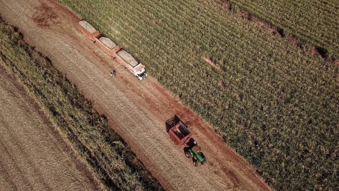 UNICA se posiciona sobre dados de relatório divulgado pela ORPLANA: "Não representam a realidade do mercado"