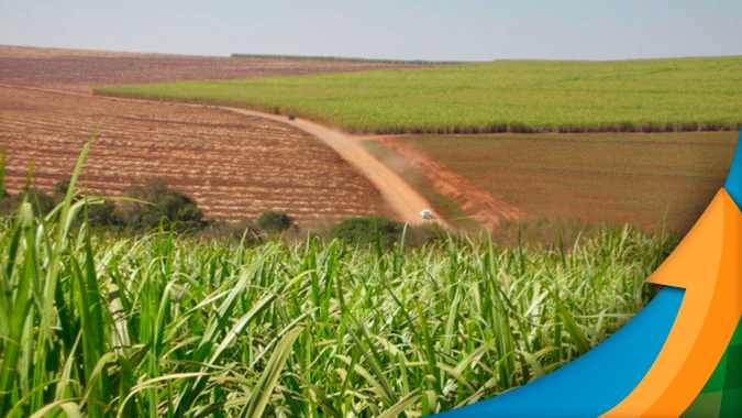 Cana: Safra 21/22 segue sendo revisada com impacto da seca e geadas no Centro-Sul