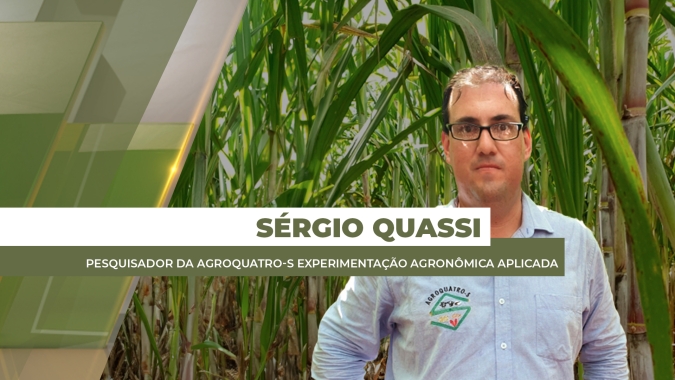 Apesar de clima mais favorável, safra de cana tende a ser menor e com dúvidas sobre a produtividade