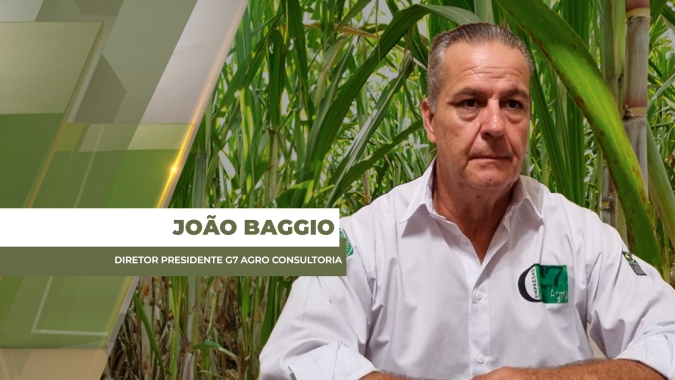 Preço da ATR da cana-de-açúcar em SP está abaixo de R$1 e coloca produtores em atenção