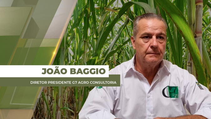 Produtividade nos canaviais está afetada pela instabilidade climática e redução significativa é preocupante