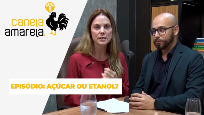 Canela Amarela Podcast:  Açúcar ou etanol? Entenda os cenários dos dois setores