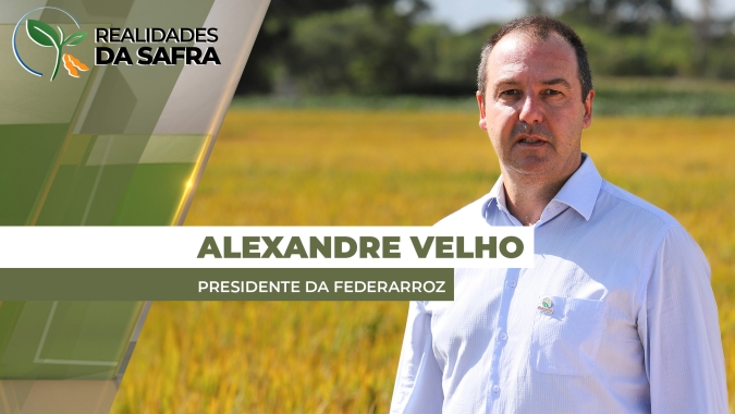 Federarroz destaca cenário de colapso da cadeia do arroz no Brasil