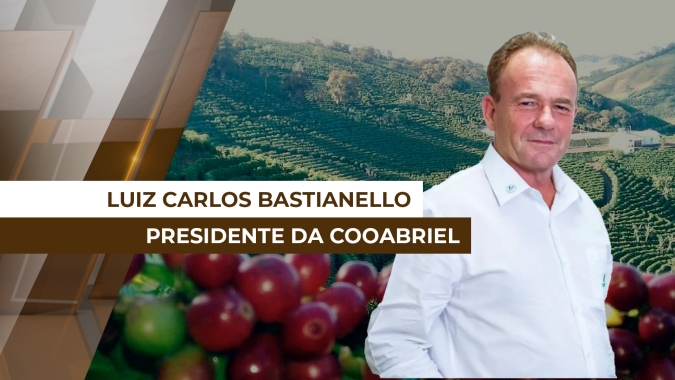 Produtores do ES e Bahia já colheram cerca de 25% da nova safra de café conilon