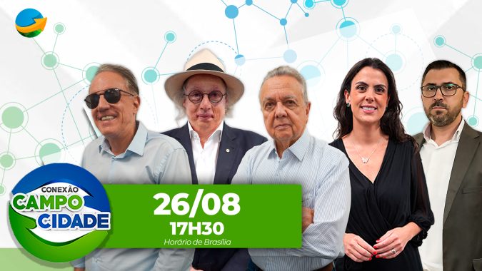Queimadas no Brasil são problema ano após ano e lideranças políticas não criam plano para evitá-las