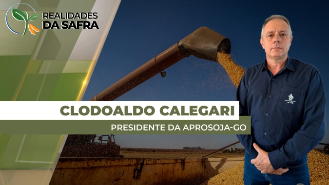 Colheita do milho começa em Goiás e boa projeção de produtividade