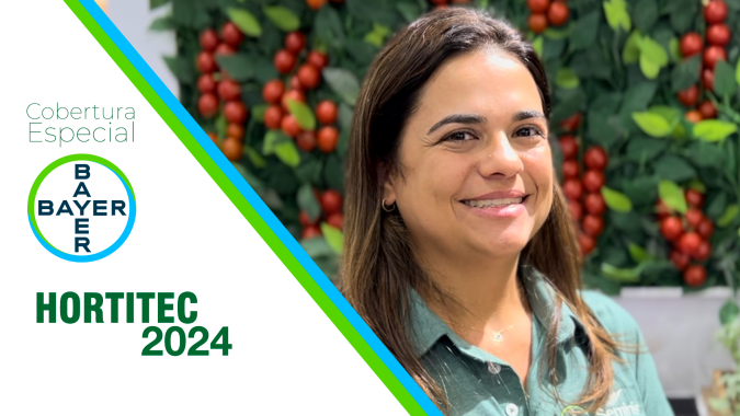Mosca-Branca ataca o tomateiro e pode injetar vírus, causando prejuízos ao produtor