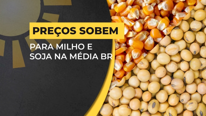 Soja & Milho: Preços sobem até R$ 4/saca na média Brasil e semana tem bom volume de negócios