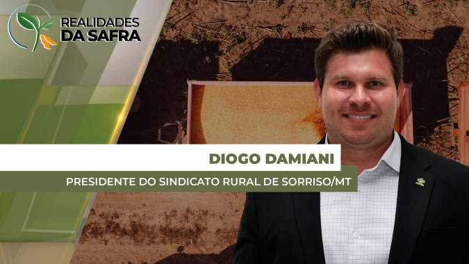 Sorriso/MT vai finalizar colheita do milho ainda nessa semana com resultados positivos