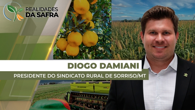 Colheita do milho começou em Sorriso (MT) com 10% da área colhida