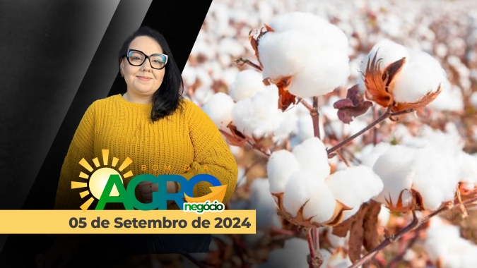 Bom dia Agro 05/09/24 - O que há de mais relevante na agricultura e no agronegócio