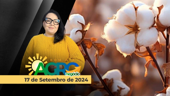 Bom dia Agro 16/09/24 - Mercado do trigo