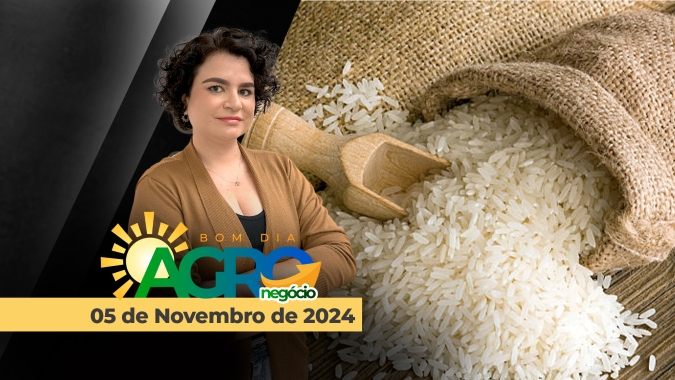 Bom dia Agro 05/11/24 - Preços do arroz fecham outubro em alta