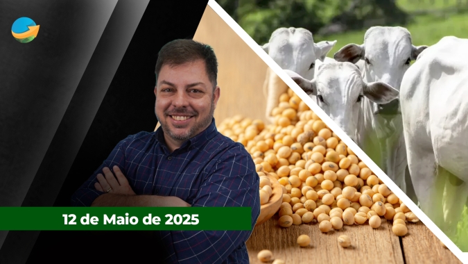 Semana começa com pressão de baixa nas principais praças pecuárias do Brasil; relatório do USDA e acordo entre China e EUA mexem com soja e milho