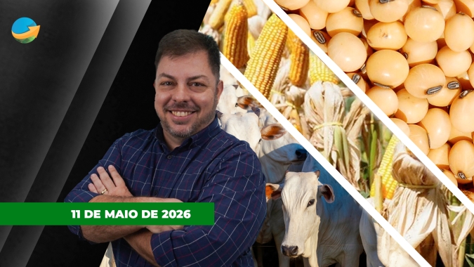 Soja e milho sobem em Chicago com ajustes para o USDA; Arroba em SP começa semana com pressão nas fêmeas