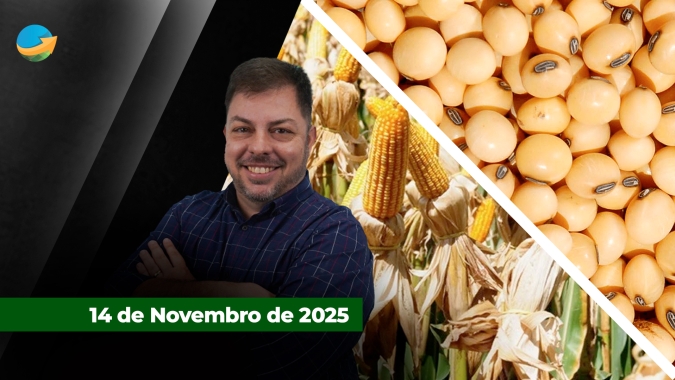 Relatório do USDA frustra expectativas dos agentes de mercado e cotações de milho e soja recuam forte em Chicago