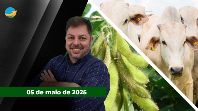 Semana começa com pressão sobre arroba do boi; queda do petróleo afeta cotações da soja e do milho na bolsa de Chicago