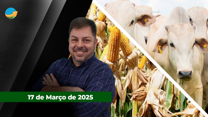 China renova registro de exportação americana para suínos e aves, carne bovina fica de fora; Milho acompanha trigo e encerra em alta na Bolsa de Chicago