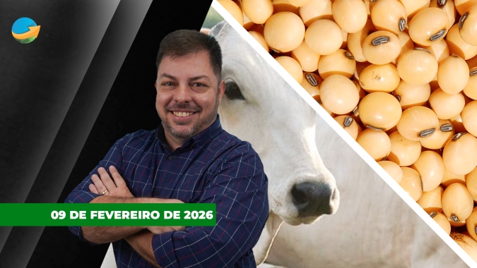 Carne no atacado e arroba do boi iniciam a semana em novos patamares de preços; Soja em Chicago recua a espera do USDA
