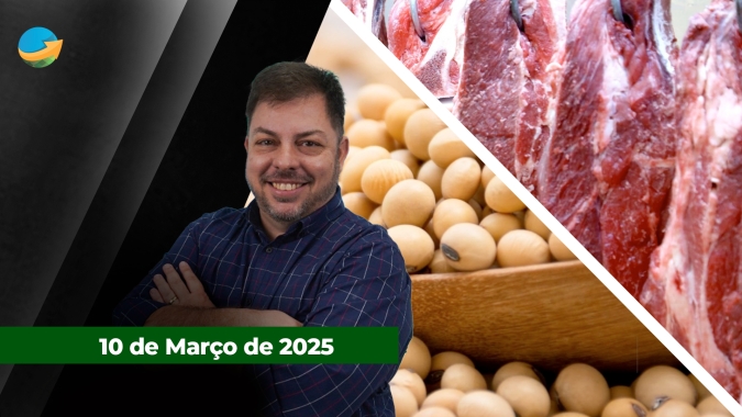 Exportação de carne bovina bate recorde para fevereiro, mas consumo interno segue fraco; Soja recua em Chicago com pressão do óleo