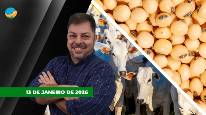 Avanço da colheita no Brasil e pressão do farelo derrubam soja em Chicago; Dia de poucos negócios, apenas para recompor estoque no mercado do boi