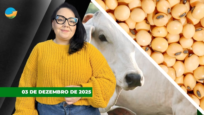 Soja e milho fecham no vermelho em Chicago com ajuste e pressão do financeiro, enquanto boi sobe no físico brasileiro