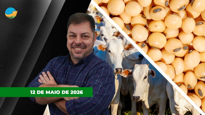 USDA surpreende com maior demanda interna e menor estoque de soja, Chicago sobe; arroba do boi em SP tem mais um dia de queda