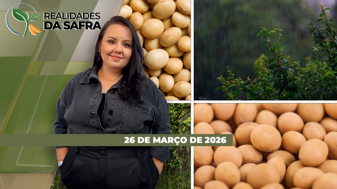 Safra de soja 25/26 deve se concluir com muita irregularidade no RS; Federarroz orienta sobre PEP e Pepro