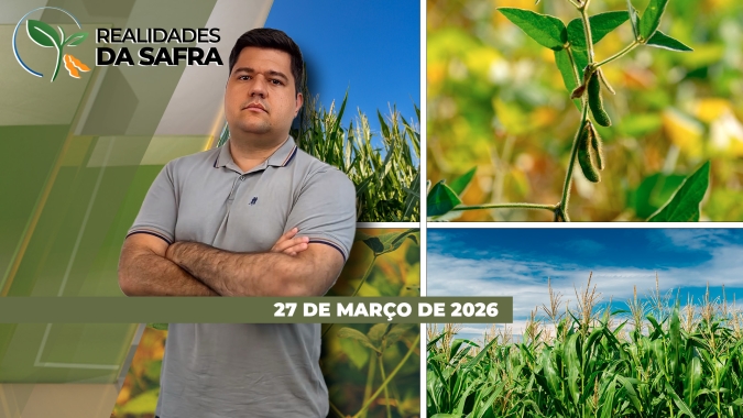 Primavera do Leste/MT teve mais de 30% do milho fora de janela e pressão lagartas está crescendo pelo Brasil