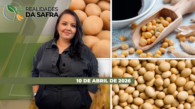 REALIDADES DA SAFRA - EDIÇÃO 10/04/2026