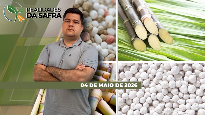 Minas Gerais abre safra de cana esperando aumento de produção e safra de soja 25/26 tem nova revisão para cima