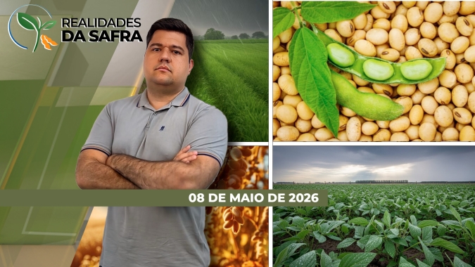 Clima dos próximos meses deve definir produção de milho em Londrina/PR e da soja no Amapá