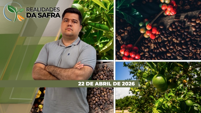 Chuvas atrapalham reta final da colheita da soja, mas ajudam desenvolvimento do milho, especialmente no Mato Grosso