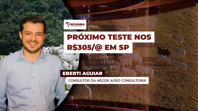 Com margens elevadas, frigoríficos poderiam pagar até R$330 pela arroba em SP