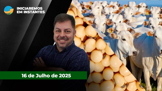 Pressão de baixa da arroba do boi ganha força em todo o Brasil ; Soja sobe forte com rumores de demanda chinesa de volta aos EUA