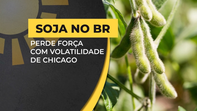 Preços da soja no BR perdem força com toda volatilidade de Chicago