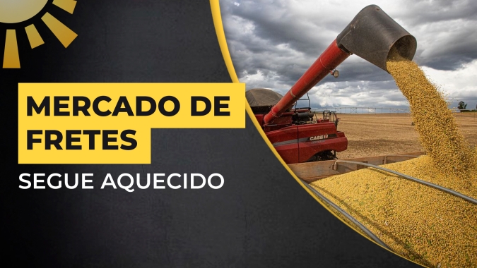 Fretes: Preços são até 15% mais altos do que no mesmo período de 22 e tendência é de que sigam elevados