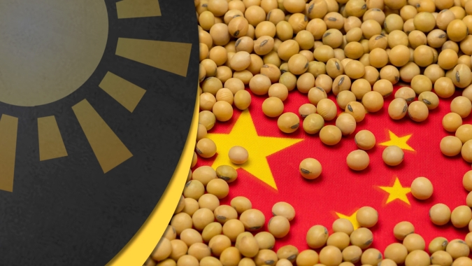 Soja: Demanda da China está estagnada, mas permanece forte; próximos 15 dias serão determinantes para o mercado