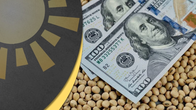 Soja: Com pressão em Chicago, dólar e prêmios continuam como forças centrais para mercado brasileiro