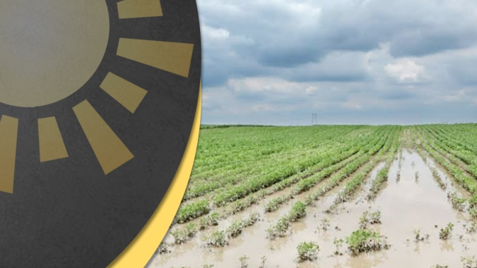 Arroz: Mercado esta caótico no Brasil, mas sem necessidade de importações adicionais, afirma analista