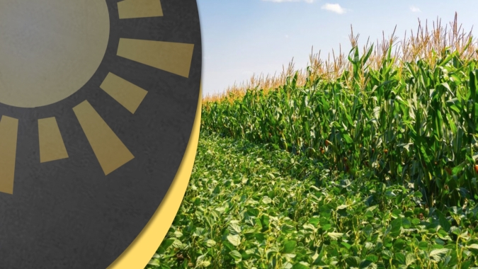 Dados de área nos EUA pelo USDA deverão mexer com soja e milho em Chicago