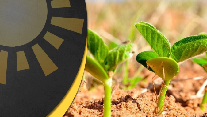 Plantio da soja pode se atrasar mais no BR com possível ameaça climática para 17 mi de hectares no Centro-Norte